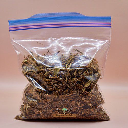 Iboga Root Bark vs. Iboga Extract